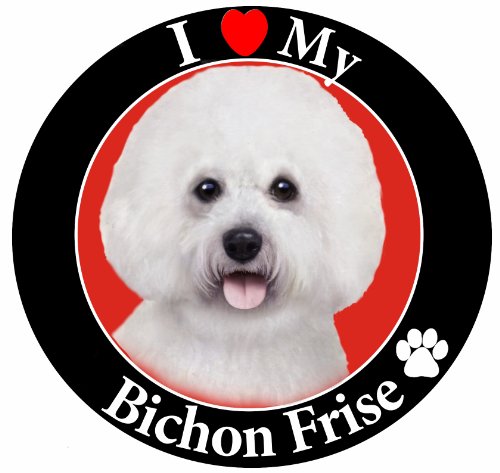'I Love My Bichon Frise' Car Magnet With Realistic Looking Bichon Frise Photograph In The Center Covered In UV Gloss For Weather and Fading Protection Circle Shaped Magnet Measures 5.25 Inches Diameter