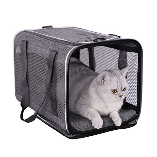 petisfam Top Loading Soft Pet Carrier for Large and Medium Cats. Sturdy, Well-Ventilated, Collapsible for Easy Storage, Easy Vet Visit