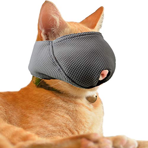 {Updated} List of Top 10 Best muzzles for cats in Detail