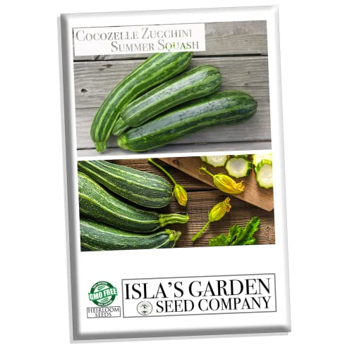 'Cocozelle Zucchini' Summer Squash Seeds for Planting, 50+ Heirloom Seeds Per Packet, (Isla's Garden Seeds), Non GMO Seeds, Botanical Name: Cucurbita Pepo, Good Home Garden Gift