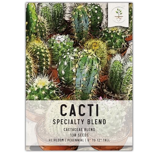 Seed Needs, Mixed Cacti/Cactus Seeds - 130 Seeds for Planting - Great Plants for Indoor Office Spaces, Easy to Grow (1 Pack)