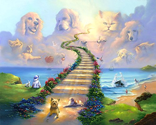 Treasure Chest Shoppe 16x20 11x14 or 8x10 Rainbow Bridge All Pets Go Stairway to Heaven Art Print Sympathy Memorial Dogs Cats (16x20)