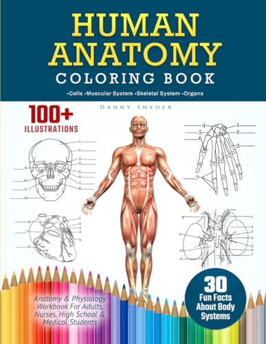 Human Anatomy Coloring Book: 100+ Illustrations In The Anatomy & Physiology Workbook For Adults, Nurses, High School & Medical Students With 30 Fun Facts About Body Systems (A Did You Know?)