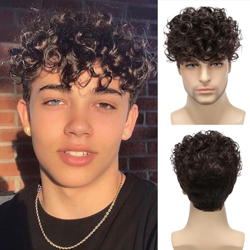 Daiaces Mens Curly Wigs Dack Brown Short Wig,Synthetic Heat Resistant Costume Wig Mens Daily Cosplay Party Halloween