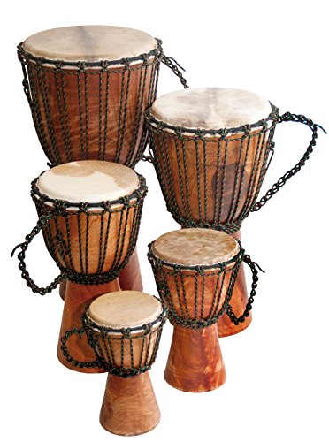 Djembe Beginner Plain,12' tall, 6.5-7' head