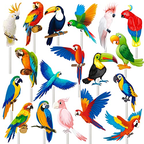 36pcs Parrot Cupcake Toppers Tropical Bird Party Cake Cupcake Picks Decorations for Parrot Theme Birthday Party Decorations Hawaii Luau Party Supplies