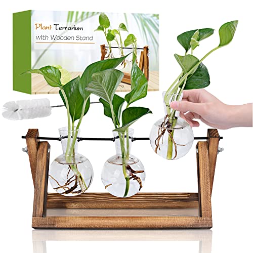 Renmxj Plant Propagation Station, Plant Terrarium with Wooden Stand, Unique Gardening Birthday for Women Plant Lovers, Home Office Garden Decor Planter - 3 Bulb Glass Vases