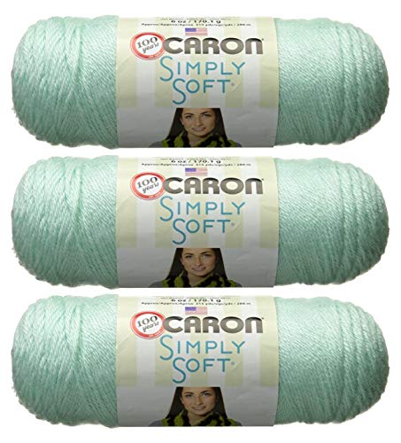 Caron Simply Soft Yarn Solids (3-Pack) Soft Green H97003-9739