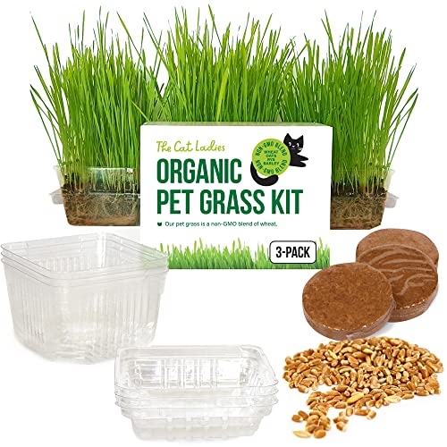 The Cat Ladies Cat Grass Growing Kit -Organic Seed, Soil and BPA Free containers (Non GMO).Locally sourced Seeds! (3 Pack)