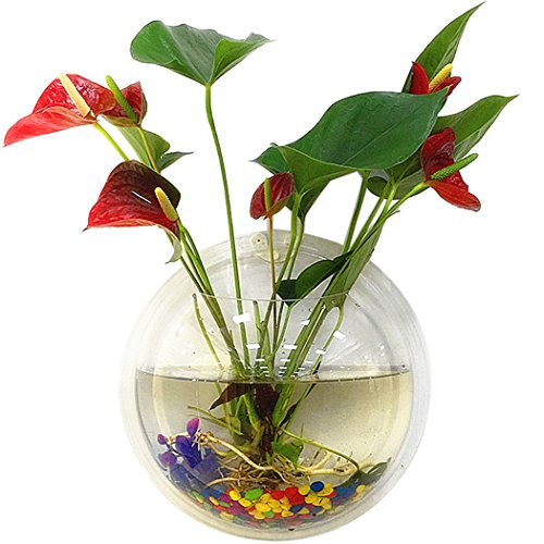 Outgeek Wall Fish Bubble Wall Hanging Bowl Clear Acrylic Vase Flower Plant Pot Aquarium 9in (0.5-Gallon)