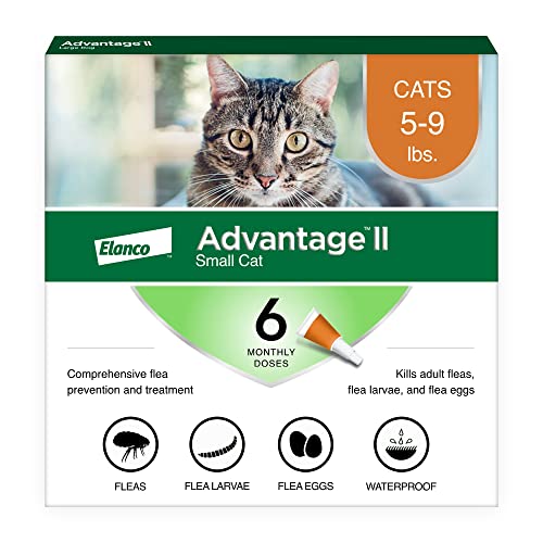 Advantage II Small Cat Vet-Recommended Flea Treatment & Prevention | Cats 5-9 lbs. | 6-Month Supply