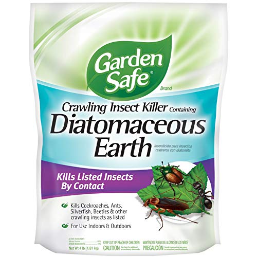 Garden Safe Insect Killer, Diatomaceous Earth, 1 Pack
