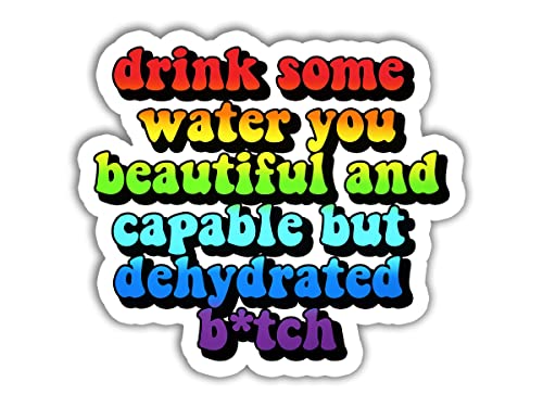 3 Pcs - Drink Some Water You Beautiful and Capable But Dehydrated Bitch Sticker Drink Some Water Sticker for Waterbottles Laptops Notebooks Cell Phones Bumpers Windows Locker A3