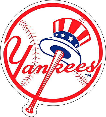 NY Sticker (5-Different Sizes) New York Vinyl Decal Circle Logo, Baseball Stickers (3 inch)