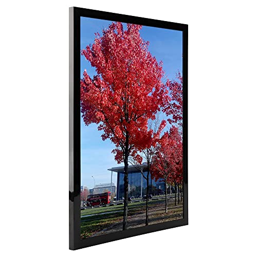 Medog 12x16 Picture Frame Black Display Pictures 12' x 16' Set Of 1 12x16 Black Picture Poster Frame Safety high transparent PC sheet Wall Mounting (P1J1 12x16 BA)