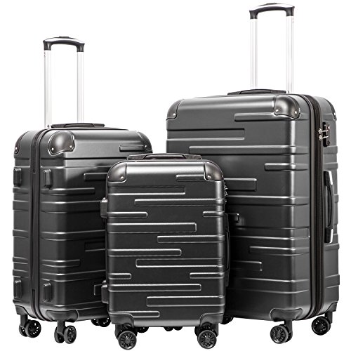 Coolife Luggage Expandable(only 28') Suitcase 3 Piece Set with TSA Lock Spinner 20in24in28in (reg grey)