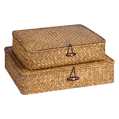 FOSSORH Set of 2 Flat Seagrass Storage Bins with Lid Wicker Storage Baskets for Organizing, Woven Shelf Organizer Bins Home Utility Organizer Box for Home & Office Supplies (Caramel)