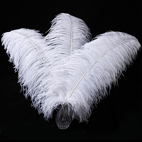 Larryhot White Large Ostrich Feathers - 16-18 inch 10pcs Feathers for Vase,Wedding Party Centerpieces and Home Decorations (White)