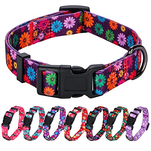 Rhea Rose Girl Dog Collars Fall Daisy Pattern, Colorful Flowers Print, Female Collar, Dark Purple, Small