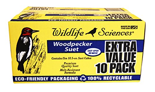 Woodpecker Suet Cake 10 Pack for Wild Birds
