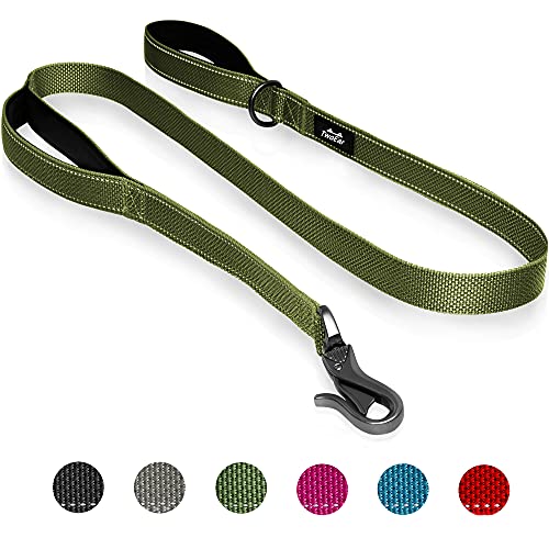 TwoEar 4FT 1IN Strong Green Dog Leash with 2 Padded Handles, Traffic Handle Extra Control, Comfortable Soft Dual Handle, Auto Lock Hook, Reflective Walking Lead for Small Medium and Large Dogs