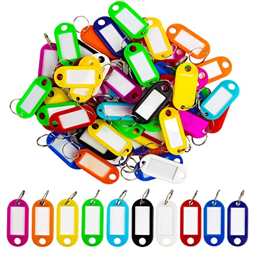 Sukh 60 Pcs Key Ring Tags - Key Tags Plastic 10 Assorted Colours of Key Ring Tags,Identifiers,Name Tags and Labels,Adapt to USB Drive,Keys,Pets,Bags