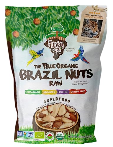 Floresta em Pé The True Organic Premium Brazil Nuts (15oz) Raw & Unsalted | Kosher | Non-Gmo | Certified Organic | Fresh | Vegan | Gluten Free | Keto & Paleo Friendly | Sustainably Harvested