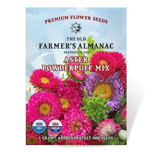 The Old Farmer's Almanac Aster Seeds (Powderpuff Mix) - Approx 360 Flower Seeds - Premium Non-GMO, Open Pollinated, USA Origin