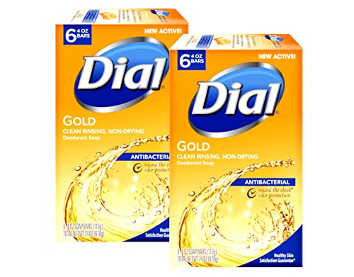 Dial Antibacterial Soap Bar, Gold, 6 Count (Pack of 2)