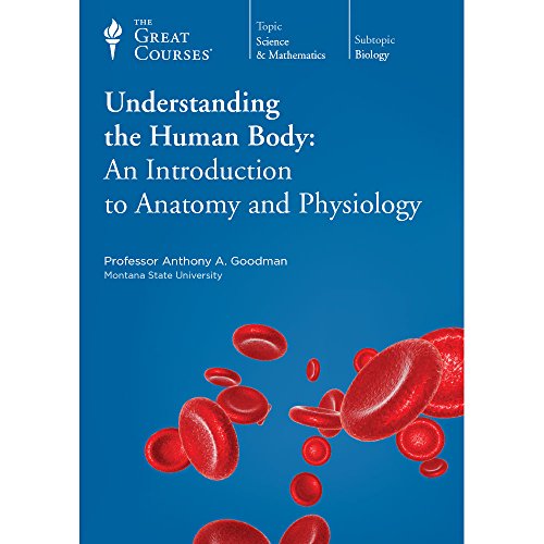 Understanding the Human Body : An Introduction to Anatomy and Physiology