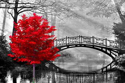 najiaxiaowu Adult Puzzle Classic Jigsaw Puzzle 1000 Pieces Wooden Puzzle DIY Black and White Bridge and Red Tree Modern Home Decor Intellectual Game Wall Art Unique Gift 75x50cm