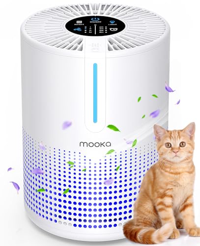 Air Purifiers for Bedroom Home, MOOKA H13 HEPA Filter Small Portable Purifier with USB Type C Cable for Smokers Pollen Pets Dust Odors Office Car 300 Sq.Ft, Desktop Air Cleaner, Fragrance Sponge, M01