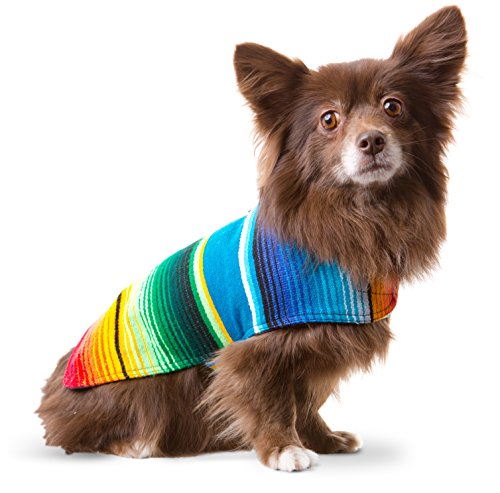 Dog Clothes - Handmade Dog Poncho from Authentic Mexican Blanket by Baja Ponchos (Blue, Small)