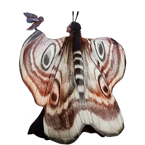 2 Pcs Halloween Butterfly Wings Butterfly Shawl Moth Wings Moth Cape Butterfly Costume Accessory with Headband for Women Girl (Classic Style)