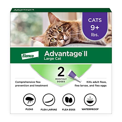 Advantage II Large Cat Vet-Recommended Flea Treatment & Prevention | Cats Over 9 lbs. | 2-Month Supply