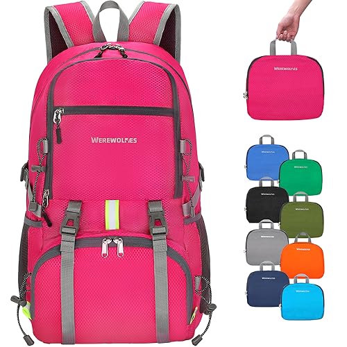 WEREWOLVES Lightweight Waterproof Foldable Small Backpack - Water Resistant Hiking Daypack for Outdoor Camping Travel (20L, Fuschia)