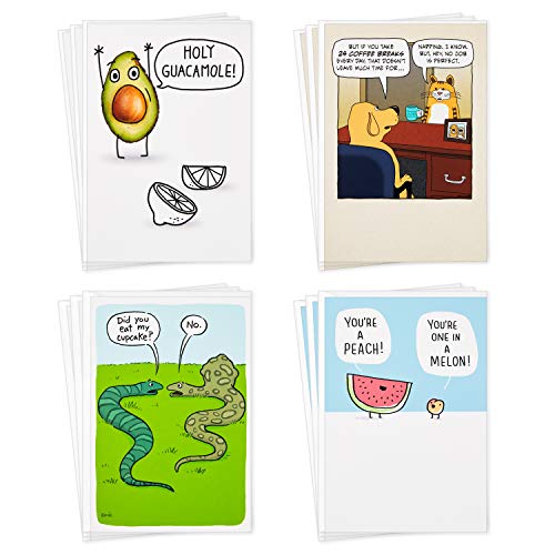 Hallmark Shoebox Funny Blank Cards Assortment (12 All Occasion Cards with Envelopes)