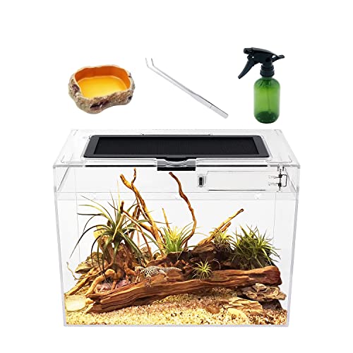Reptile Growth Mini Reptile Terrarium,12' x 7'x 9' Reptile Tank with Full View Visually Appealing，for Insect，Fish，Tarantula，Hermit crab，Jumping spider，Iguana，Tortoise，Leopard Gecko，Frog，Bearded dragon