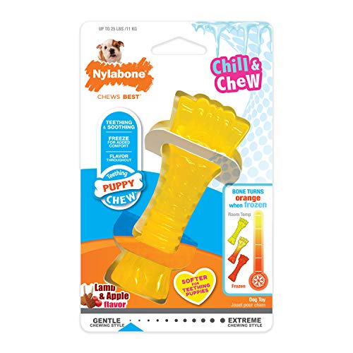 Nylabone Puppy Chew Freezer Toy - Puppy Chew Toy for Teething - Puppy Supplies - Lamb & Apple Flavor, Small/Regular (1 Count)