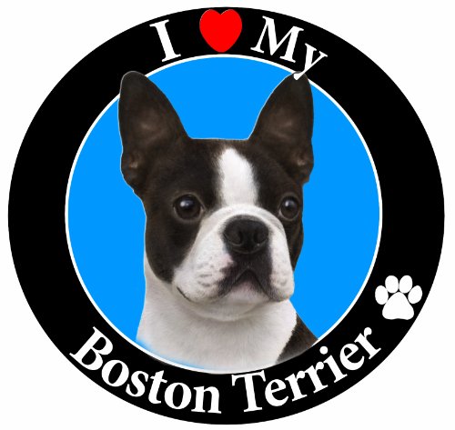 'I Love My Boston Terrier' Car Magnet With Realistic Looking Boston Terrier Photograph In The Center Covered In UV Gloss For Weather and Fading Protection Circle Shaped Magnet Measures 5.25 Inches Diameter