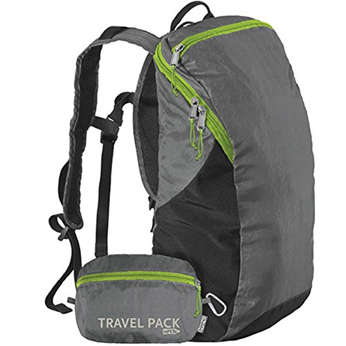 ChicoBag Travel Pack rePETe Recycled Backpack w/Built-In Pouch & Carabiner Clip | Perfect for Outdoor Activities | Eco-Conscious Packable Reusable Bookbag | Stormfront (Pack of 1)