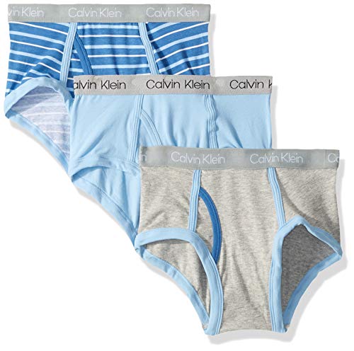 Calvin Klein Boys' Little Modern Cotton Assorted Briefs Underwear, 3 Pack, Blue and Grey Stripe/Blue Bell/Heather Grey, Medium