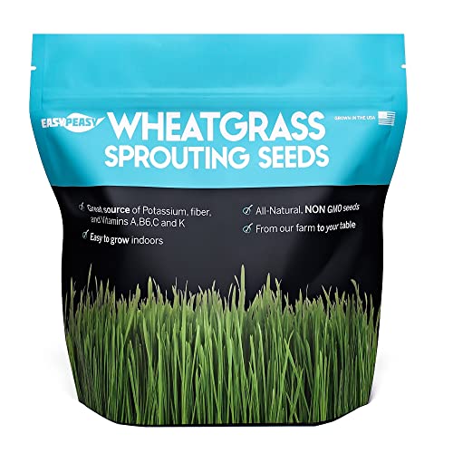 Wheatgrass Seeds | Non GMO | Grown in USA Wheat Grass Seeds | from Our Farm to Your Table (1 Pound)