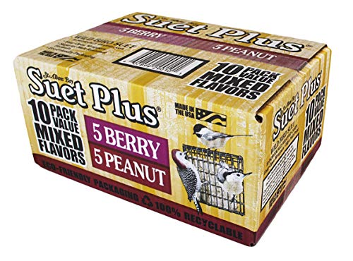 ST. ALBANS BAY SUET PLUS Suet Cake Variety Packs | 11 oz. Wild Bird Suet Cakes | (Peanut and Berry, 10 Pack)