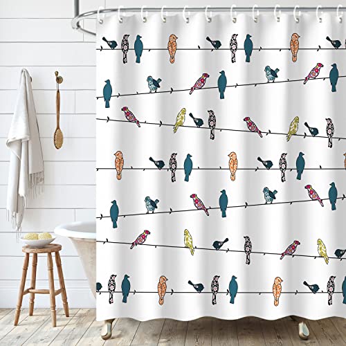 LIVILAN Bird Shower Curtain, Cute Shower Curtain Colorful Funny Animal Shower Curtain Hooks, Multicolor Rowley Birds Shower Curtains for Bathroom Funny Bathroom Decor, 72Wx72H Inch