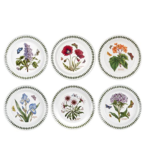 Portmeirion Botanic Garden 8.5' Salad Plates - Set of 6 | Assorted Floral Motifs | Fine Earthenware | Chip Resistant Glaze | Dishwasher, Microwave, Freezer, Oven Safe | Made in England