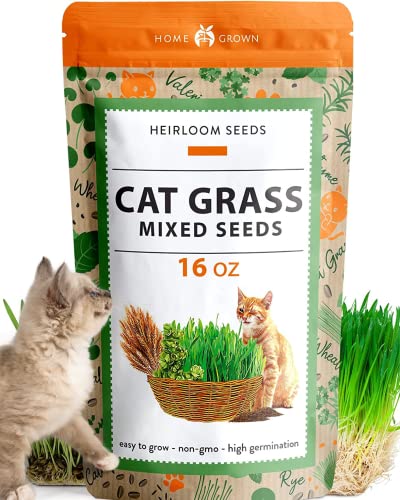 HOME GROWN 1 Pound Cat Grass Seeds for Indoor Cats & Pets - Ready to Eat in 7 Days - Quick & Easy to Grow | Cat Grass for Digestion & Hairballs | 100% Non-GMO Heirloom Oat Barley Seeds