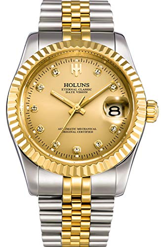 HOLUNS Mens Full Gold Watch Automatic Mechanical Gilded Steel Self-Wind Sapphire Glass Dress Waterproof Watch (Gold&Silver with Gold Dial)