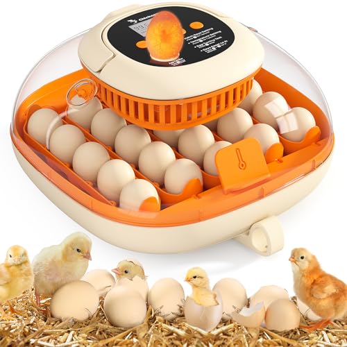 25 Egg Incubator for Hatching Chicks, Automatic Egg Turner with Thermometer Seat and Humidity Control, Egg Candler, 360° View with Clear Window, Incubators for Chicken Egg (Orange)