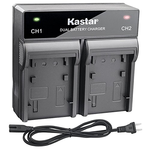Kastar Fast Dual Charger Replacement for Panasonic VW-VBG6 AG-AC7 AG-AF100 AG-AC130 AG-AC160 AG-HMC40 AG-HMC43 AG-HMC45A AG-HMC70 AG-HMC80 AG-HMC150 AG-HMC151E AG-HMC155 AG-HMR10 AG-HSC1U HDC-MDH1